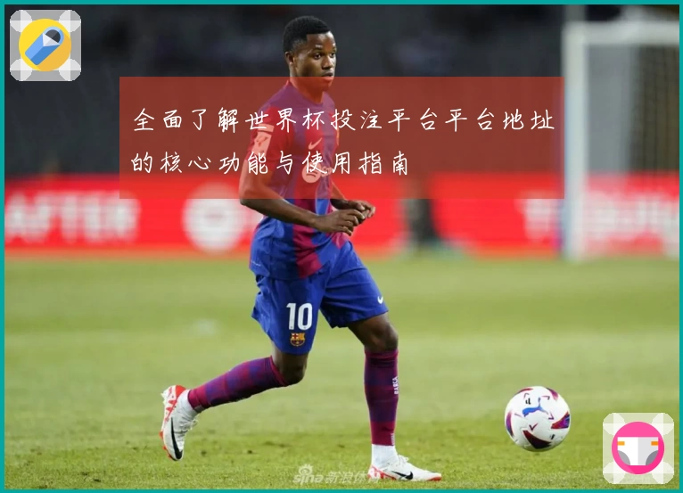 全面了解世界杯投注平台平台地址的核心功能与使用指南