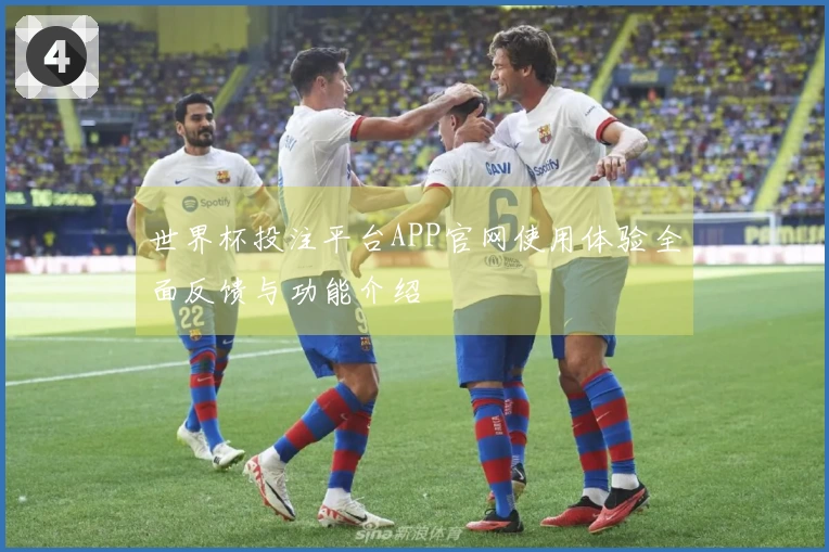 世界杯投注平台APP官网使用体验全面反馈与功能介绍