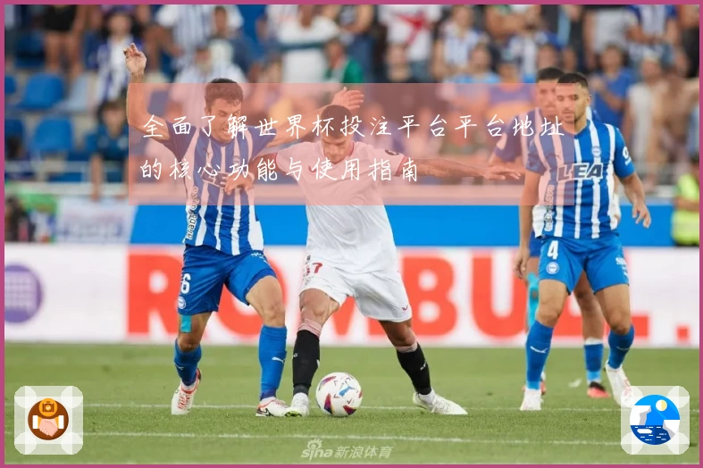 全面了解世界杯投注平台平台地址的核心功能与使用指南
