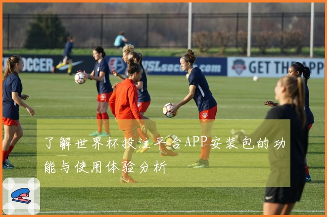 了解世界杯投注平台APP安装包的功能与使用体验分析